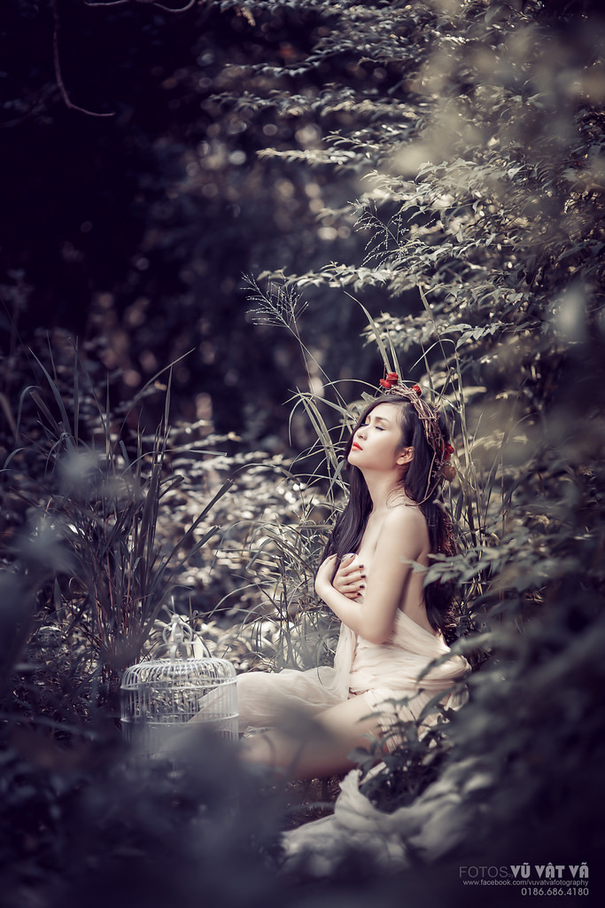 欧美性动态